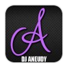 DJ Aneudy